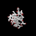 corailcourbe4_l4_3