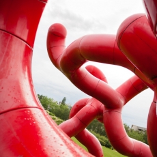 ARBORESCENCE POLYMORPHIQUE