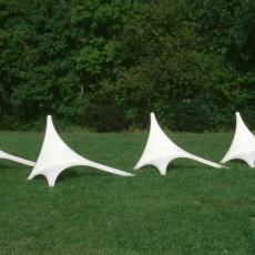 LES OISEAUX
