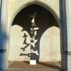 LES OS