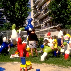 LES POLYCLOQUES