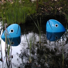 LES POISSONS